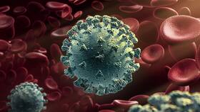 No, COVID-19 Doesn   t Infect Blood Vessels Despite High Clot Risk, Says Study