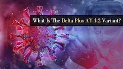 Delta Variant AY.4.2 Spreading In India: Maharashtra, Madhya Pradesh On High Alert After Case Surge; Everything To Know