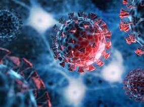 Delta COVID Variant Can Fuse Infected Lung Cells With Uninfected Ones, Experts Reveal What Makes These Strains More Virulent