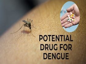 Finally We Have Antiviral Drug That May Help Prevent And Treat Dengue
