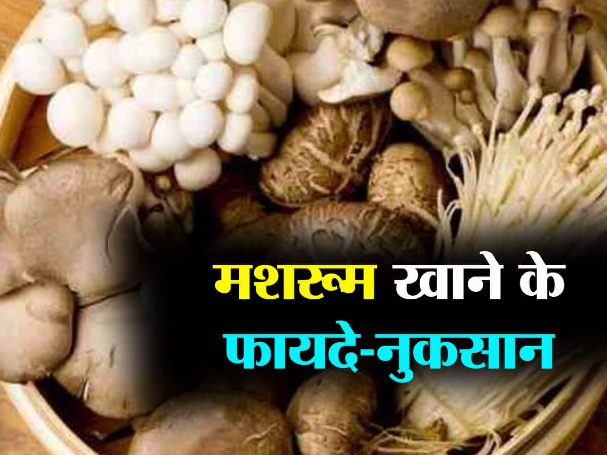 इन बीमारियों में फायदेमंद माना जाता है मशरूम का सेवन, ऐसे चुनें सही
