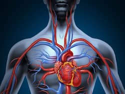 Heart Attack And Stroke Difference:  स्ट्रोक और हार्ट अटैक में क्या अंतर है, एक्सपर्ट से जानिए इनके लक्षण और उपचार