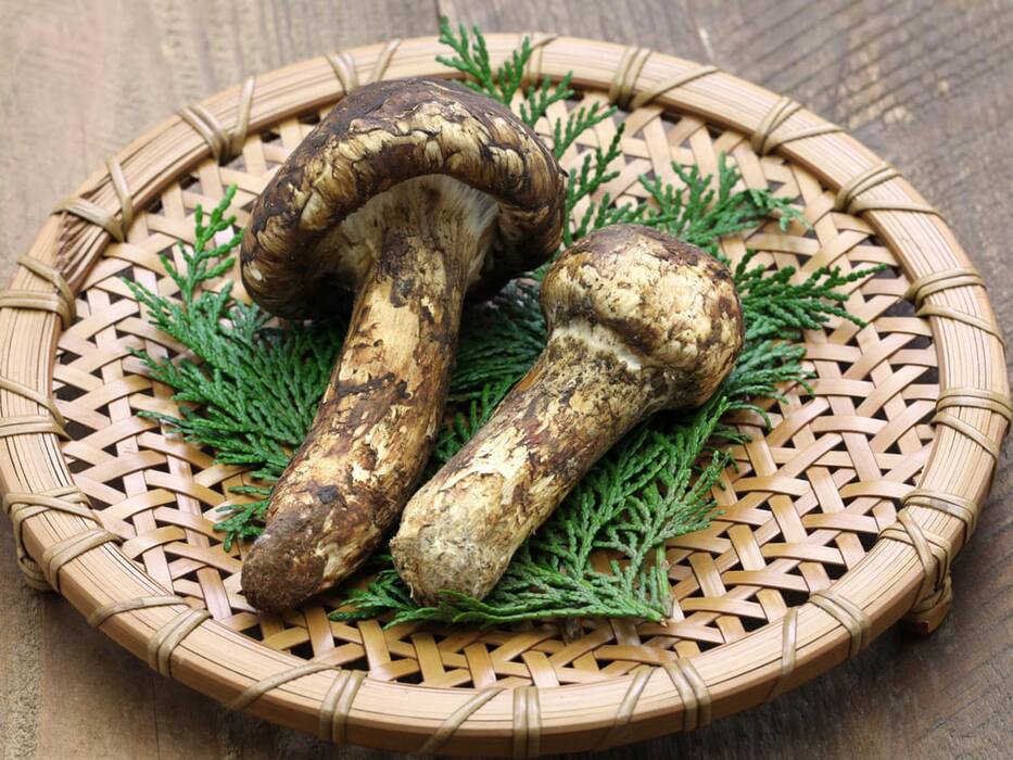 World Vegetarian Day: ये हैं दुनिया की 5 सबसे महंगी सब्जियां, 1 लाख रु किलो आलू तो 2 हजार रुपये किलो है पालक, जानिए क्‍या है खासियत