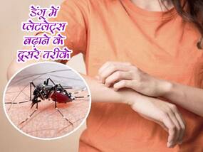प्लेटलेट्स बढ़ाने के लिए रामबाण हैं ये 5 खाद्य पदार्थ, डेंगू होने पर जरूर करें सेवन