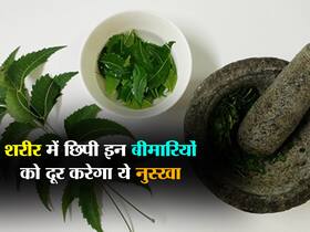सुबह खाली पेट इस तरह नीम की पत्तियां चबाने से दूर होते हैं शरीर में छिपे ये 5 रोग, हैं बीमार तो जरूर चबाएं सुबह खाली पेट इस तरह नीम की पत्तियां चबाने से दूर होते हैं शरीर में छिपे ये 5 रोग, हैं बीमार तो जरूर चबाएं