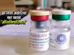मलेरिया के लिए बनी वैक्सीन अब जल्द देगी दस्तक, इन तीन देशों को 8 लाख बच्चों को लगी वैक्सीन