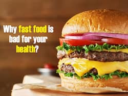 Your Favourite Cheeseburgers, Chicken Burritos May Contain    Harmful    Plasticizers