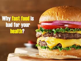 Your Favourite Cheeseburgers, Chicken Burritos May Contain    Harmful    Plasticizers