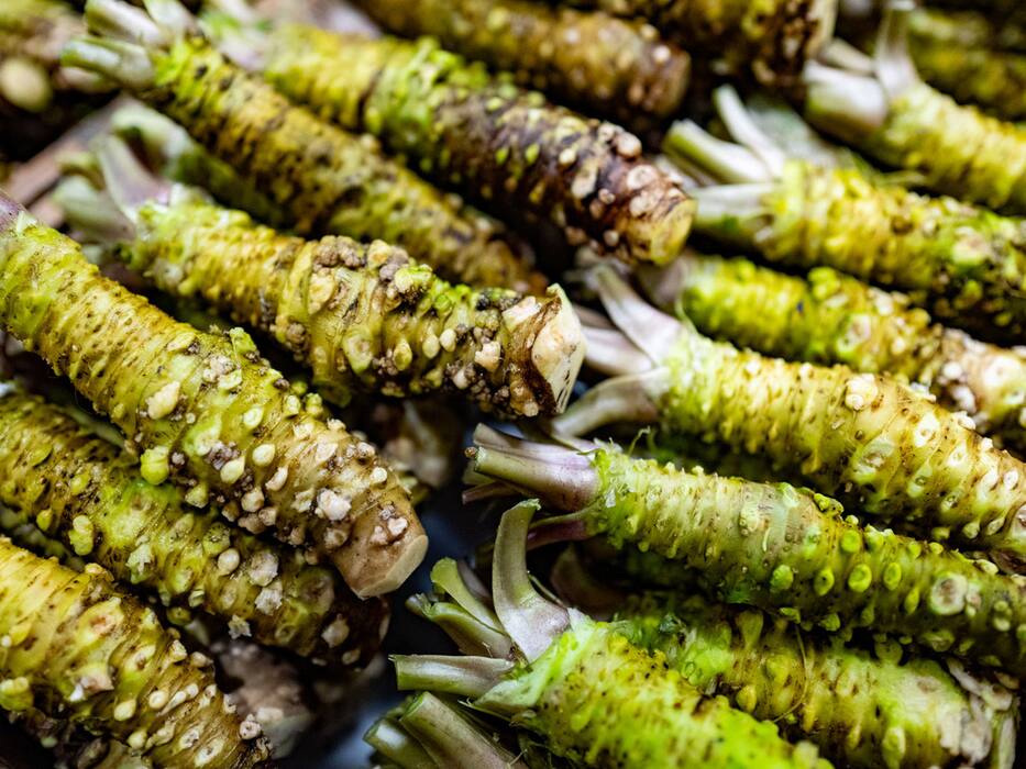 World Vegetarian Day: ये हैं दुनिया की 5 सबसे महंगी सब्जियां, 1 लाख रु किलो आलू तो 2 हजार रुपये किलो है पालक, जानिए क्‍या है खासियत