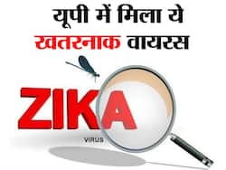 कानपुर (यूपी) में मिला जीका वायरस का पहला मामला, जानें कब हो सकता है ये वायरस खतरनाक