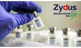 Zydus Cadila ने कोरोना वैक्सीन की 3 खुराकों के लिए मांगी 1900 रुपए की कीमत, दाम कम कराने के लिए केंद्र सरकार-कम्पनी में चर्चा Zydus Cadila ने कोरोना वैक्सीन की 3 खुराकों के लिए मांगी 1900 रुपए की कीमत, दाम कम कराने के लिए केंद्र सरकार-कम्पनी में चर्चा