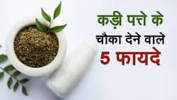 Health Benefits Of Curry Leaves : करी पत्ता होता है काफी गुणकारी, रोज़ाना सेवन करने से मिलेंगे यह बढ़िया फायदे | वीडियो देखें