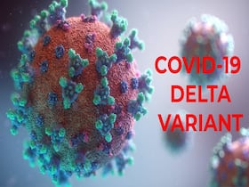 Delta Sub-Lineage Spreading; Found In 99% COVID Samples From Delhi In October