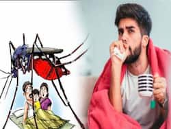 Dengue During Corona: कोविड-19 महामारी के दौरान सतर्क रहने वाली वायरल बीमारी है डेंगू, ये है कोरोना और डेंगू के लक्षणों में अंतर