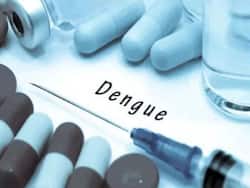 Dengue Havoc Continues: 40 New Cases Recorded In Lucknow