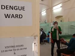 Dengue Cases In UP: उत्तर प्रदेश में कोरोना से ज्यादा डेंगू के मामलों में हो रही है बढ़ोतरी, बुखार होने पर तुरंत कराएं जांच