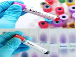 Delhi Dengue Updates: दिल्ली में इस साल डेंगू से हुई पहली मौत, अब तक 720 लोग आए डेंगू की चपेट में