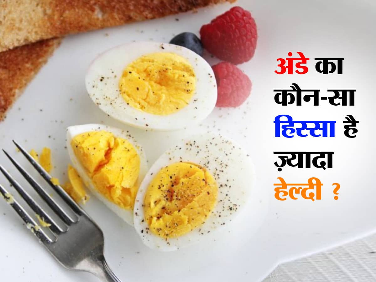 Egg White Vs Egg Yolk अंडे का सफेद हिस्सा या पीला हिस्सा, क्या है