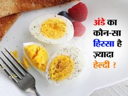 Egg White Vs Egg Yolk : अंडे के सफेद और पीले हिस्से में से क्या है ज़्यादा फायदेमंद ?