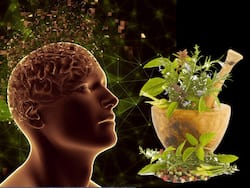 World Mental Health Day: दिमागी रोगों का काल हैं ये 5 आयुर्वेदिक जड़ी-बूटियां, नियमित सेवन से दूर होती है चिंता, तनाव और डिप्रेशन