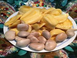 Benefits of Jackfruit Seeds: 3 तरह से खाएंगे कटहल के बीज तो कम हो सकता है बढ़ता कोलेस्ट्रॉल, जानें अन्य लाभ