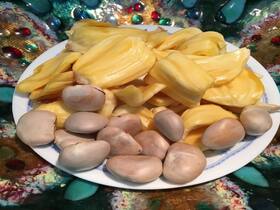 Benefits of Jackfruit Seeds: 3 तरह से खाएंगे कटहल के बीज तो कम हो सकता है बढ़ता कोलेस्ट्रॉल, जानें अन्य लाभ Benefits of Jackfruit Seeds: 3 तरह से खाएंगे कटहल के बीज तो कम हो सकता है बढ़ता कोलेस्ट्रॉल, जानें अन्य लाभ