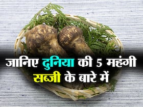 World Vegetarian Day: ये हैं दुनिया की 5 सबसे महंगी सब्जियां, 1 लाख रु किलो आलू तो 2 हजार रुपये किलो है पालक, जानिए क्या है खासियत World Vegetarian Day: ये हैं दुनिया की 5 सबसे महंगी सब्जियां, 1 लाख रु किलो आलू तो 2 हजार रुपये किलो है पालक, जानिए क्या है खासियत