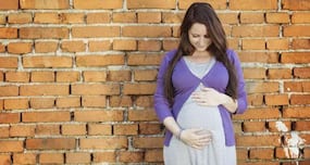 Eating Papaya During Pregnancy : क्या पपीता खाने से सचमुच हो सकता है गर्भपात? जानें क्या कहती है रिसर्च और एक्सपर्ट्स