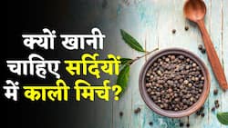 Benefits Of Black Pepper: सर्दियों में काली मिर्च खाने के फायदे, देखिये ये वीडियो