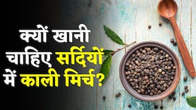 Benefits Of Black Pepper: सर्दियों में काली मिर्च खाने के फायदे, देखिये ये वीडियो