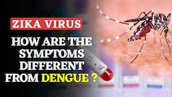 Zika Virus News | How Is Zika Virus Different From Dengue? | Watch Video