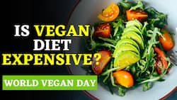 World Vegan Day 2021 | What Is A Vegan Diet | Everything You Need To Know About Veganism