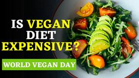 World Vegan Day 2021 | What Is A Vegan Diet | Everything You Need To Know About Veganism