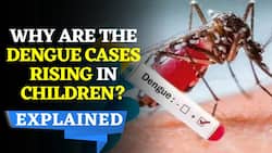 Dengue Alert: Why Are Dengue Cases Rising In Children? | Dengue Symptoms and Causes