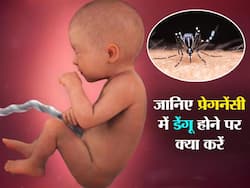 Dengue in Pregnancy: प्रेगनेंसी की शुरुआत में डेंगू हो जाए तो क्‍या करें? डॉक्‍टर से जानिए हर छोटी से छोटी बात का जवाब