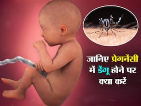 Dengue in Pregnancy: प्रेगनेंसी की शुरुआत में डेंगू हो जाए तो क्‍या करें? डॉक्‍टर से जानिए हर छोटी से छोटी बात का जवाब