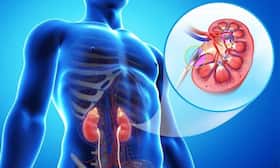 Suffering From Chronic Kidney Disease? This Common Diabetes Drug May Help You Fight The Condition Suffering From Chronic Kidney Disease? This Common Diabetes Drug May Help You Fight The Condition