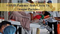 Another Epidemic In India? COVID Patients' Beds Used For Dengue Patients Amid Massive Surge In Cases In Delhi-NCR