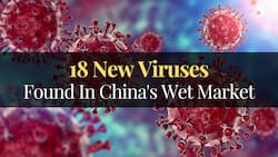 18 New Viruses Potentially High Risk To Humans Found In China's Wet Market
