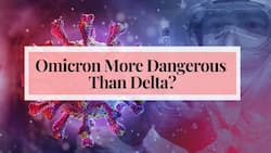 Omicron Variant Can Infect Those Who Have Previously Had COVID-19 More Easily: WHO Warns Amid New Variant Scare
