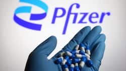 Pfizer Allows Others To Make Its COVID-19 Pills: What Are COVID Pills? Everything You Need To Know