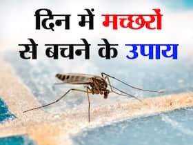 दिन में भी नहीं भटकेगा आस-पास एक भी जहरीला मच्छर अगर करेंगे ये 5 उपाय, देसी के साथ-साथ सस्ते भी हैं ये उपाय