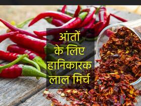 खाने में इस चीज का ज्यादा सेवन आपकी आंतों के लिए बन सकता है 'जहर', जानें आंतों को होने वाला नुकसान