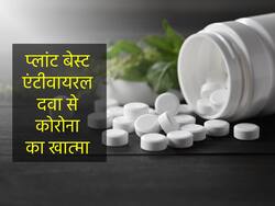अब प्लांट बेस्ड एंटी-वायरल दवा से कंट्रोल होगा कोरोना वायरस, जानें किन वेरिएंट में कारगर है ये दवा