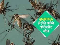 उत्तर प्रदेश में इस तरह बनाएं जाएंगे जीका वायरस के कंटेनमेंट जोन, जानें नए दिशा-निर्देश