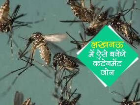 उत्तर प्रदेश में इस तरह बनाएं जाएंगे जीका वायरस के कंटेनमेंट जोन, जानें नए दिशा-निर्देश उत्तर प्रदेश में इस तरह बनाएं जाएंगे जीका वायरस के कंटेनमेंट जोन, जानें नए दिशा-निर्देश
