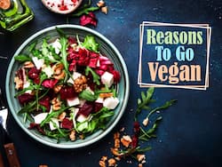 Planning To Go Vegan? Reasons Why Shouldn't Stop Yourself