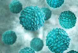 Norovirus In Kerala: केरल में अब नोरो वायरस का प्रकोप, वायनाड में मिले 13 संक्रमित,  जारी किए गए विशेष दिशानिर्देश