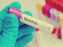 Norovirus in Kerala: केरल में कोरोनावायरस के साथ नोरोवायरस का प्रकोप बढ़ा, हाई अलर्ट पर कर्नाटक