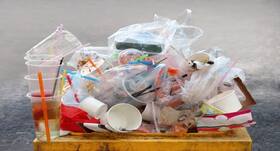 Usage Of Plastics In Food Industry Rampant But Major Concern Is Discharge Of Industrial Waste Into Rivers: Expert